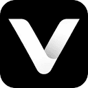 Favicon of Volk Accountant