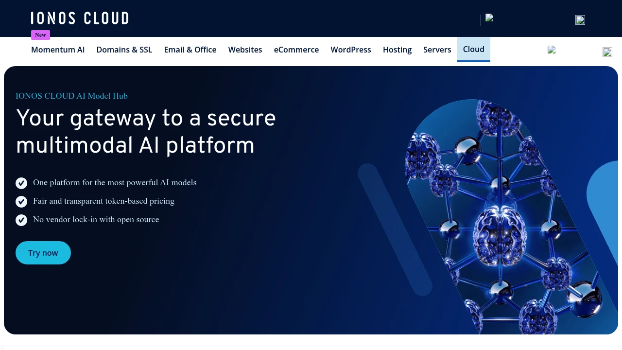 Screenshot of IONOS Cloud AI Model Hub website